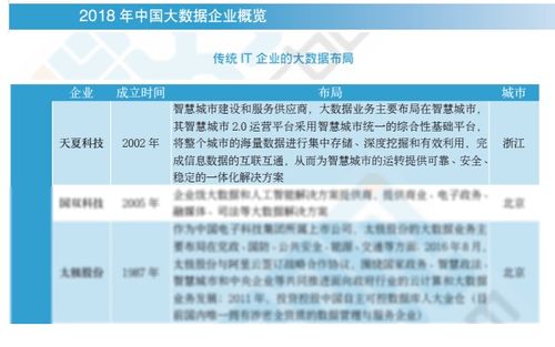 2018中國大數據企業報告出爐，天夏科技榮登IT企業大數據布局榜信息系統集成服務領域